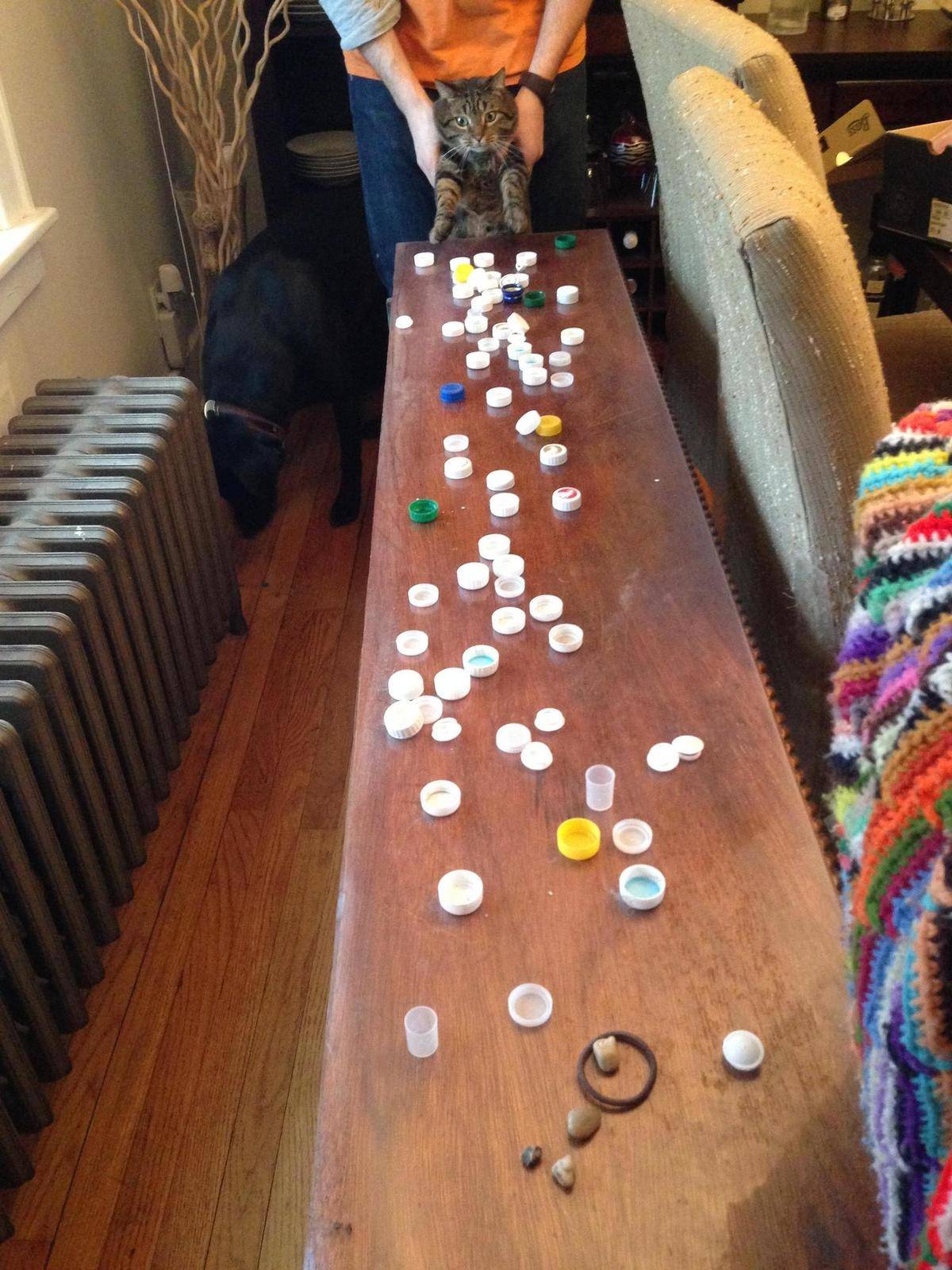 cat next to table covered in bottle caps