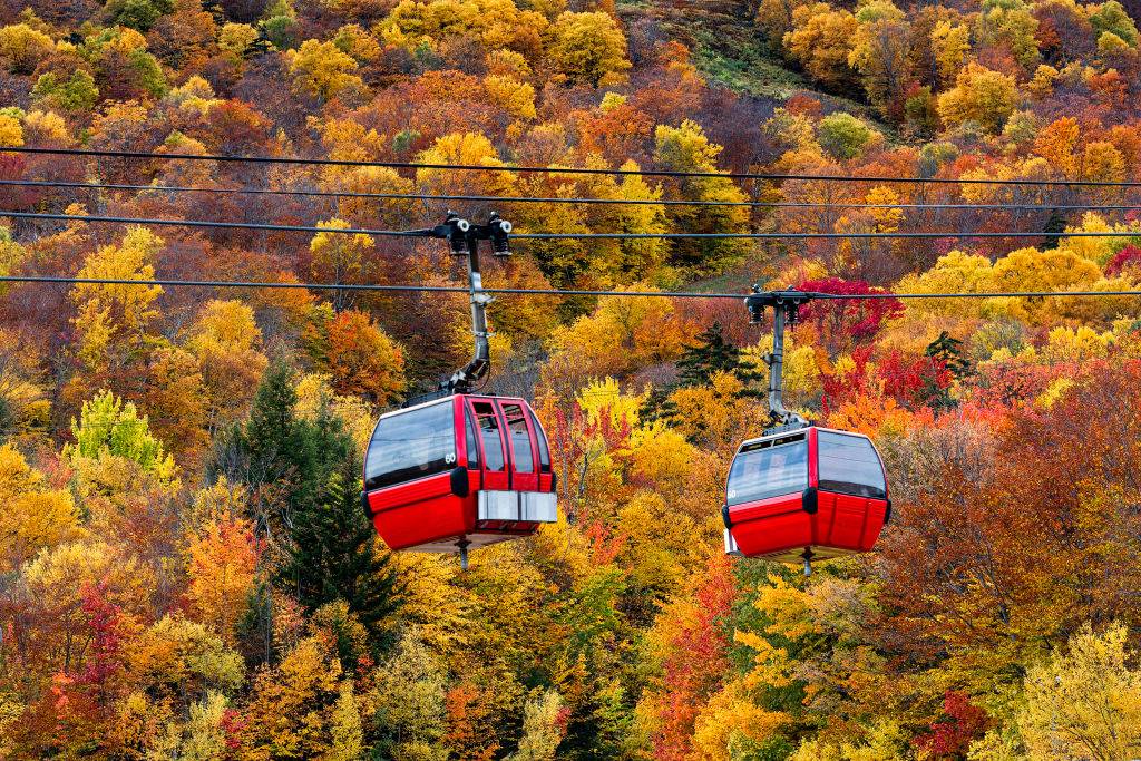 gondolas going through the colorful trees in Stowe, Vermont