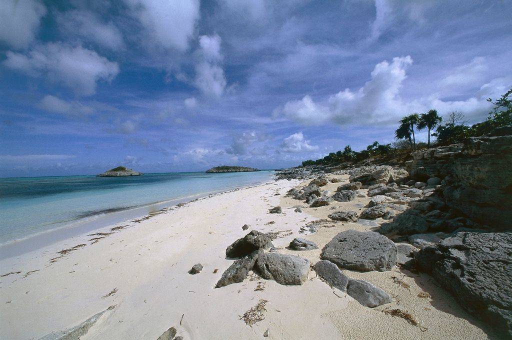a beach in turks and caicos