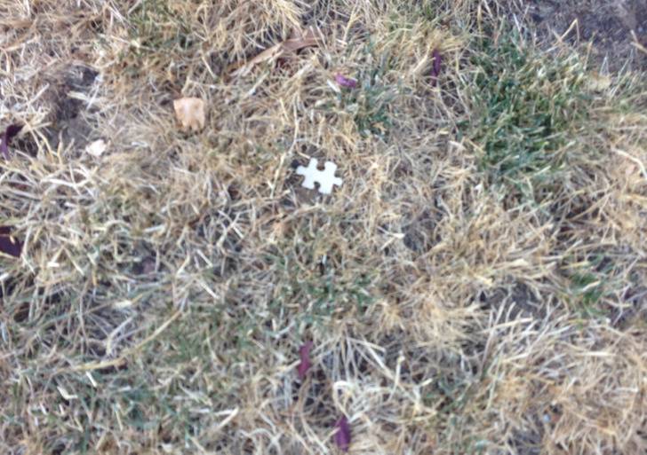 one puzzle piece in empty field