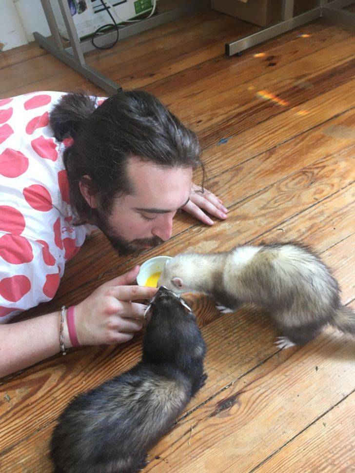 3790e950968346d3fbab9b0666