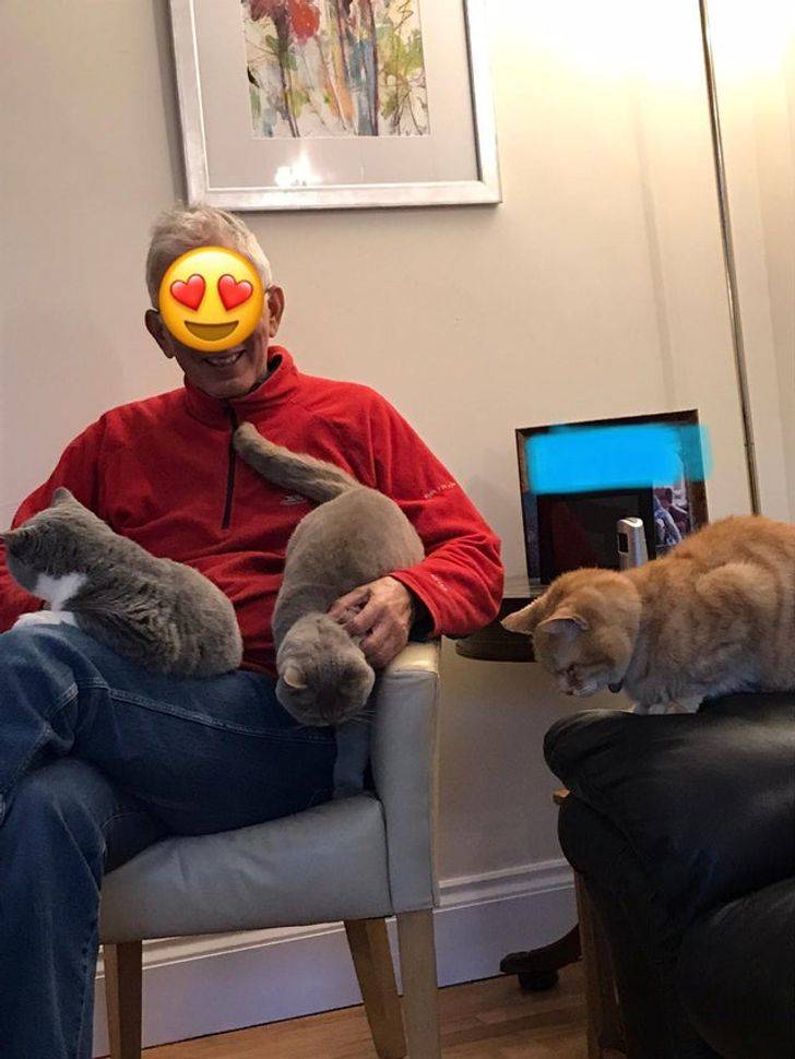 532c2d58f797d4e8c9ddb6a85c