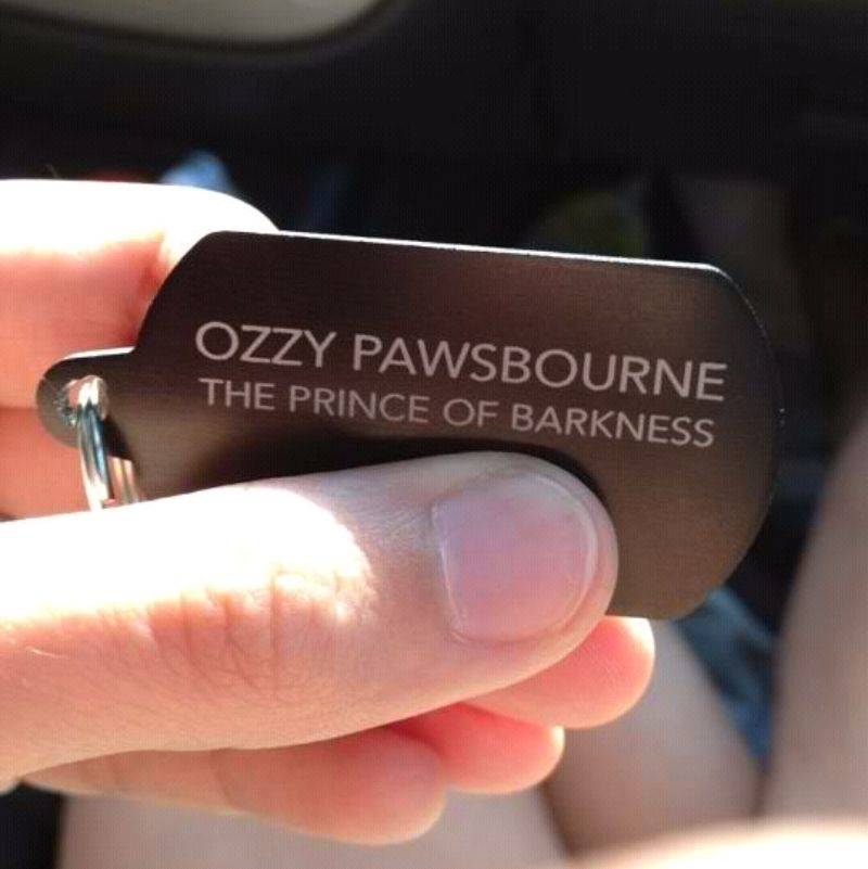 husband named their dog Ozzy Pawsbourne