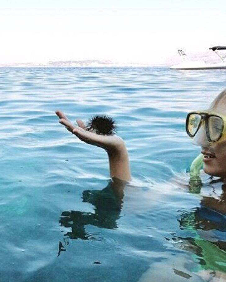 sea urchin that looks like man jumpnig in water