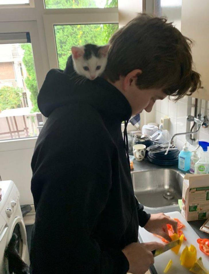 890ae15619b7327c8ea4750708