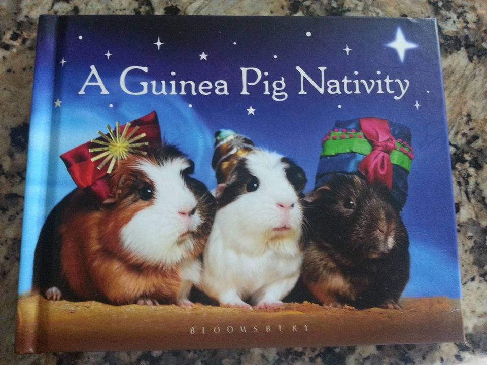 guinea pig nativity scene