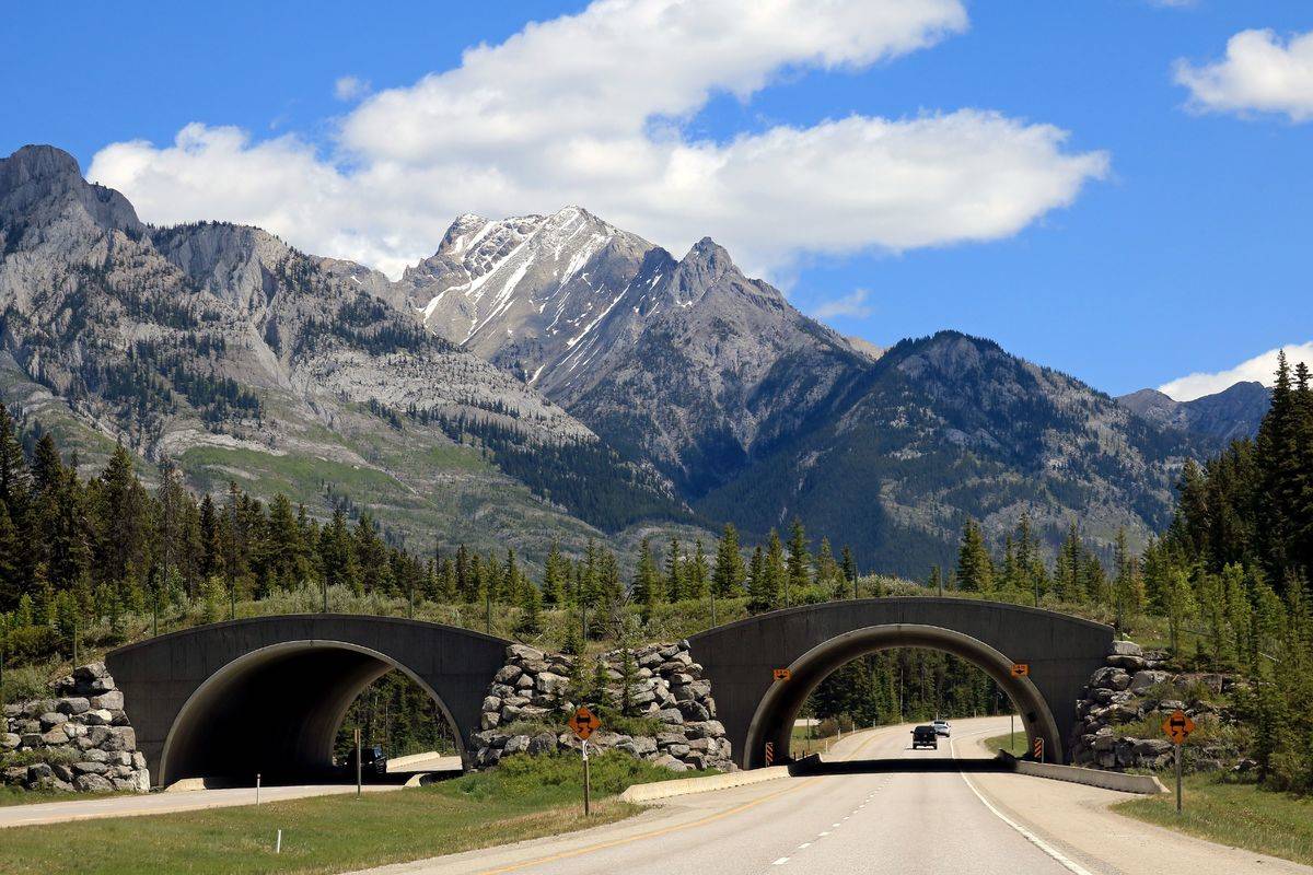 bridge on highway in banff