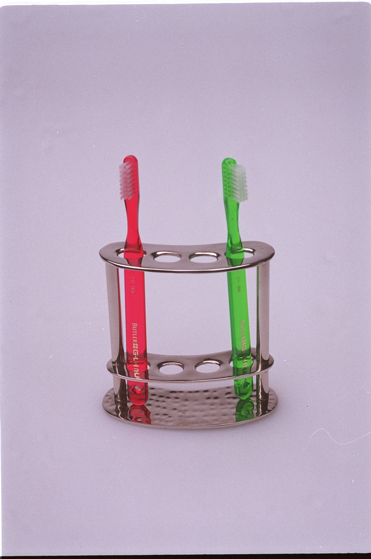 Toothbrushes sit in a holder.