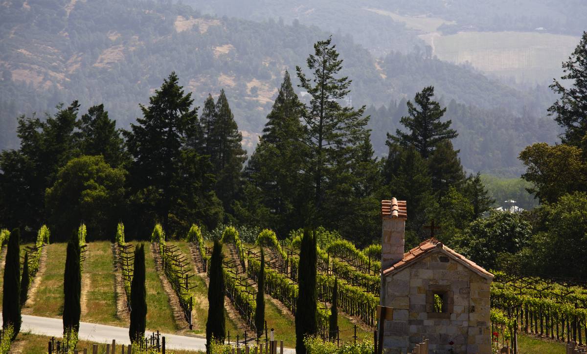 Castella Di Amorosa Winey in napa valley california