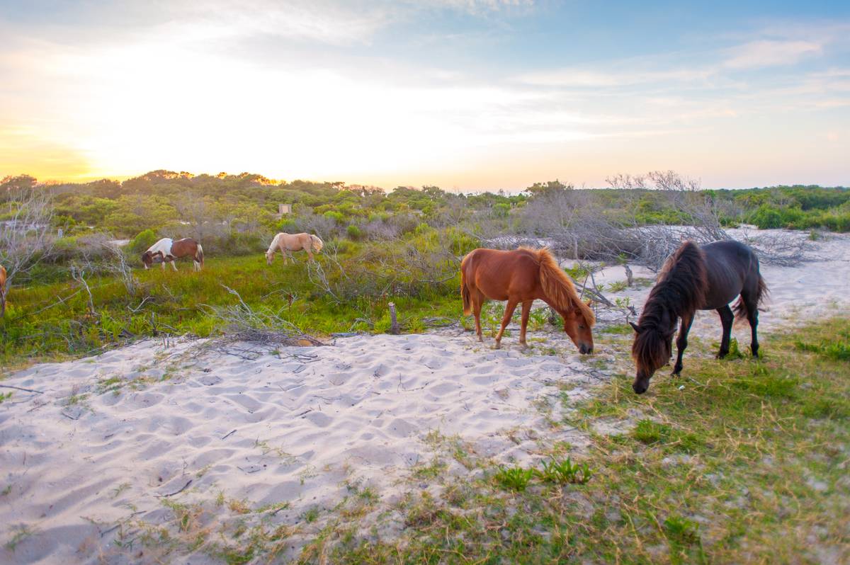 GettyImages-687636182