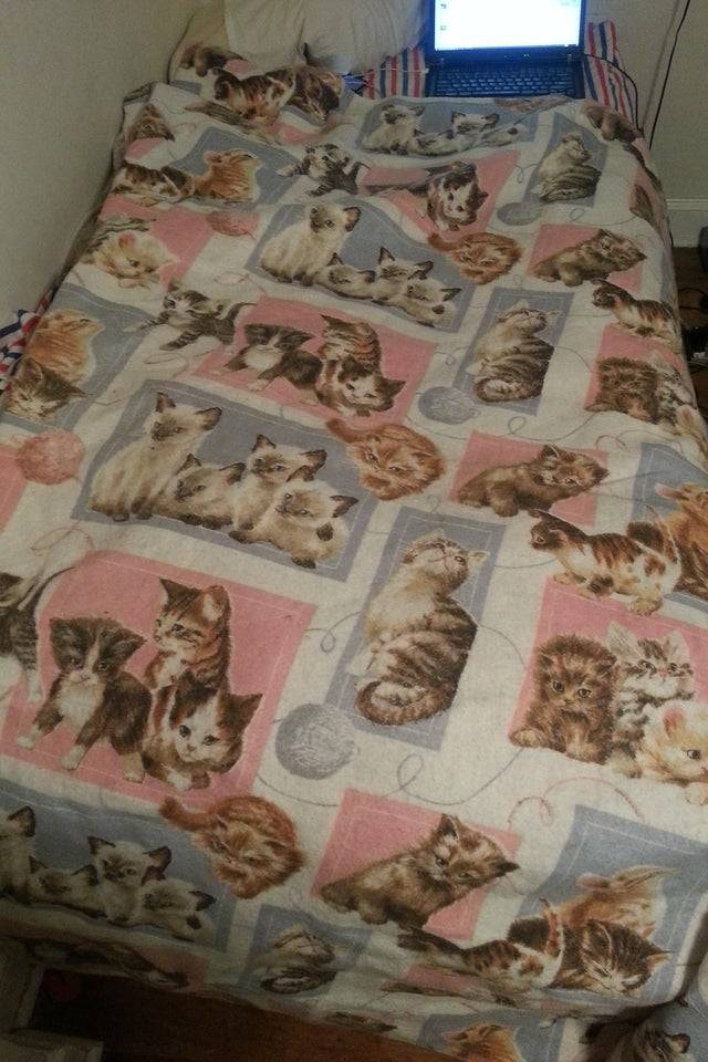 cat blanket for bed for male