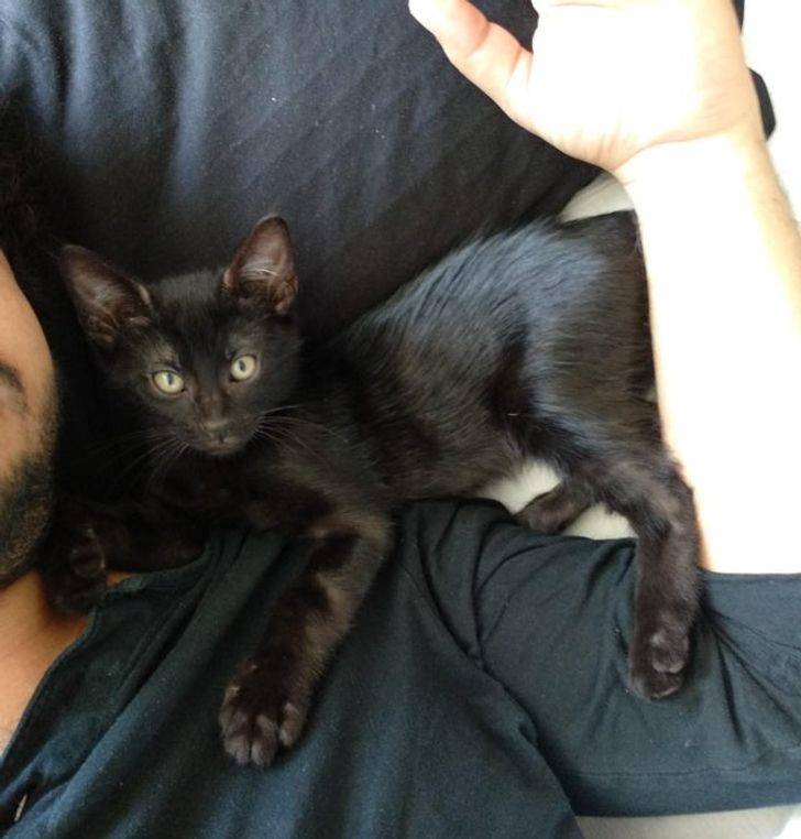 c6c9cc5d339079656aa5dfff2d