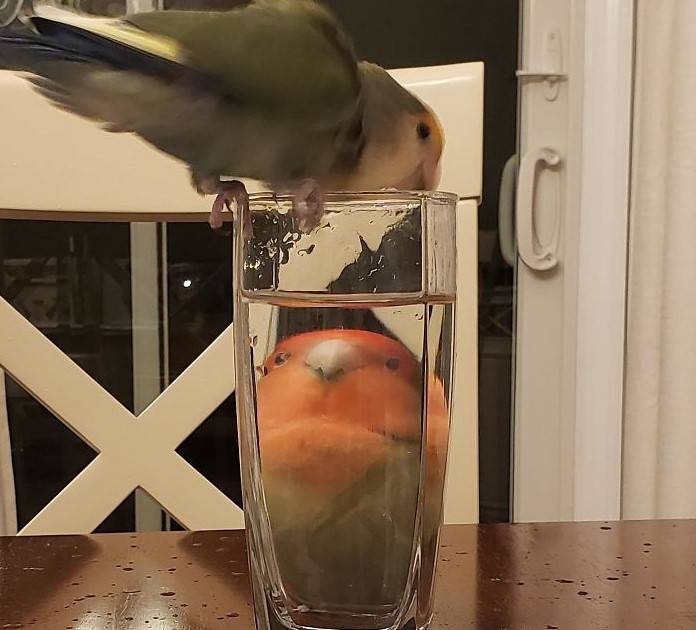 glass-distortion-16a