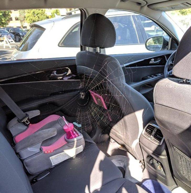 269a845c3a9ebc6c24790bc656