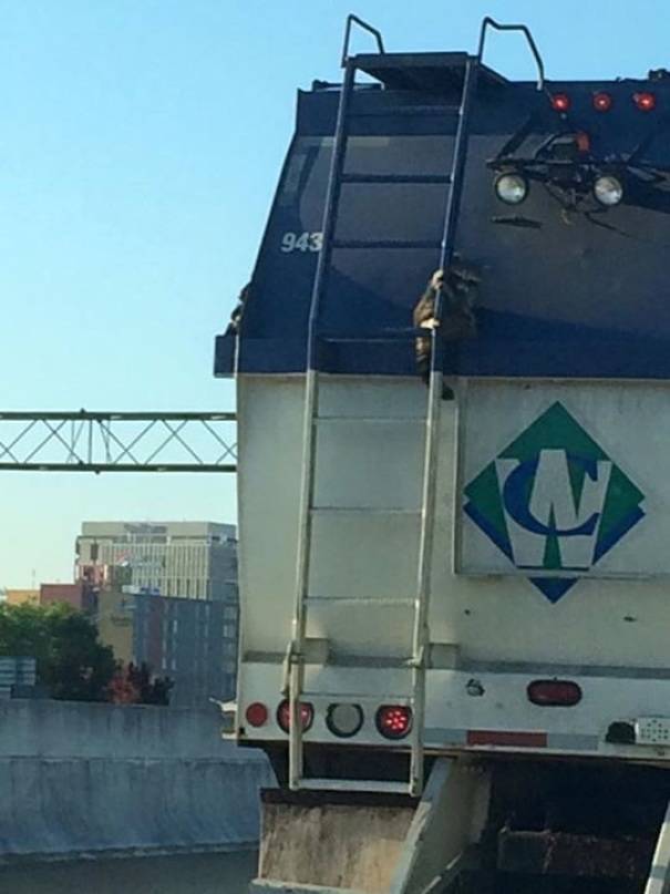 5a339b27507ae_FLi62Jo__605