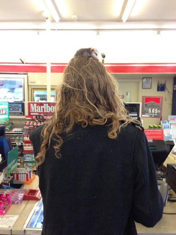 5a3b797bcfdac_ROZUW5nr__605