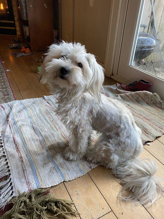 5eafdc1db9677_ptyf771z6vs41__700