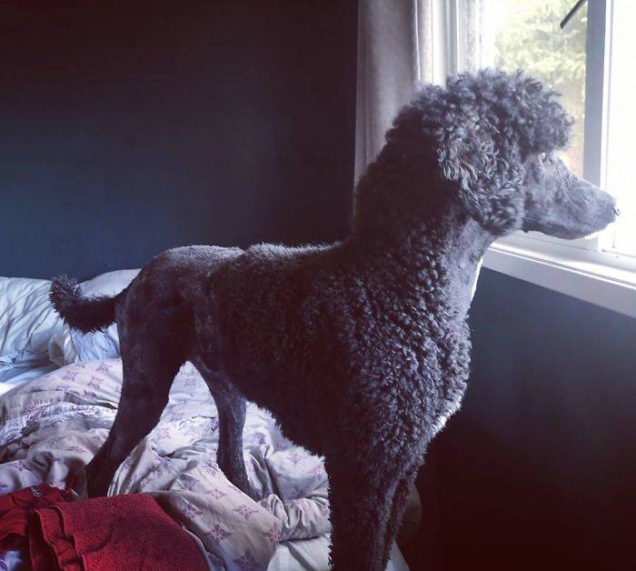 B_TvCCoBAK7-png__700