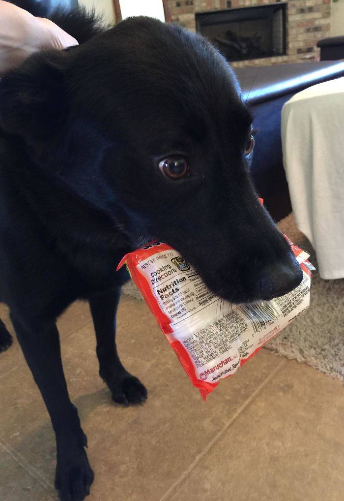 ramen dog