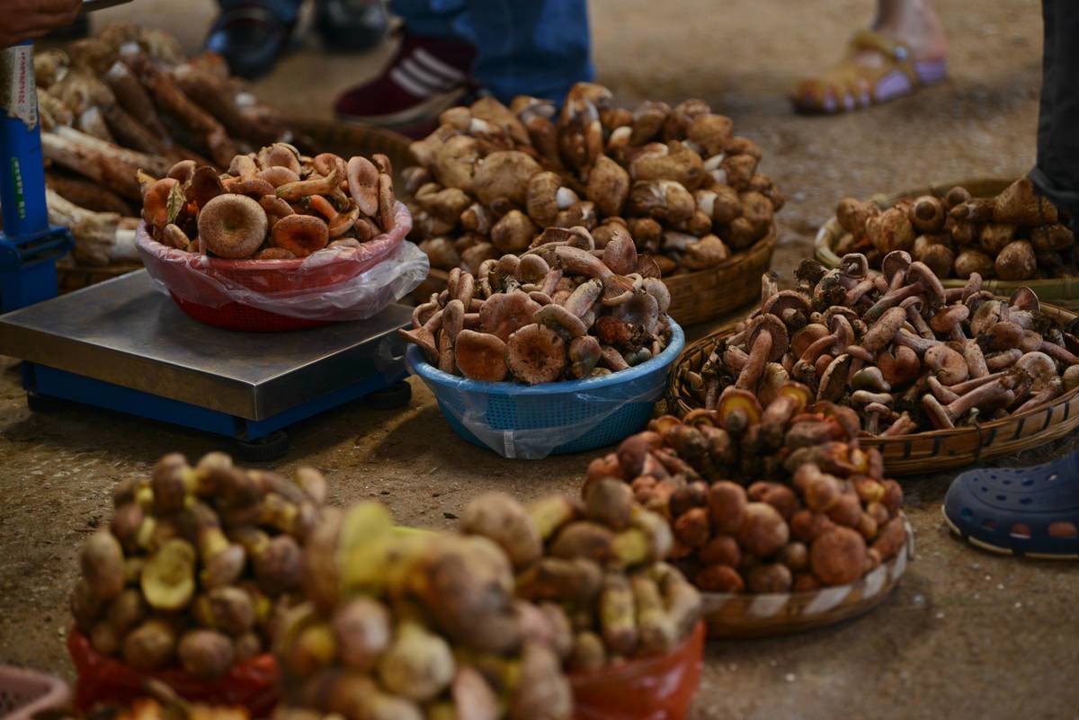 People trade wild mushrooms in a Chinese market.