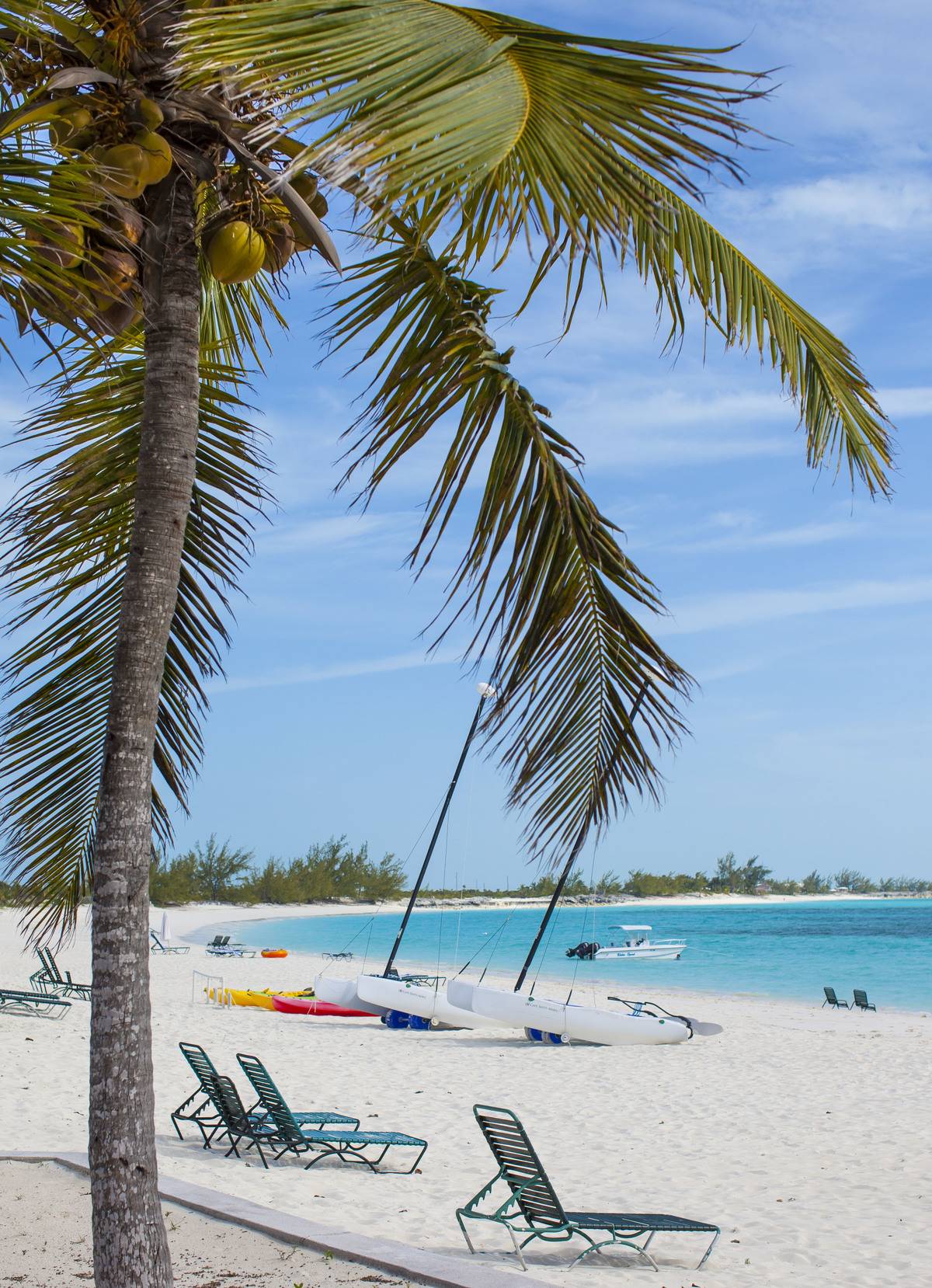 Coconut palm tree, empty sunbeds, sailing boat  at the white sandy beach of luxury Resort and Hotel Cape Santa Maria