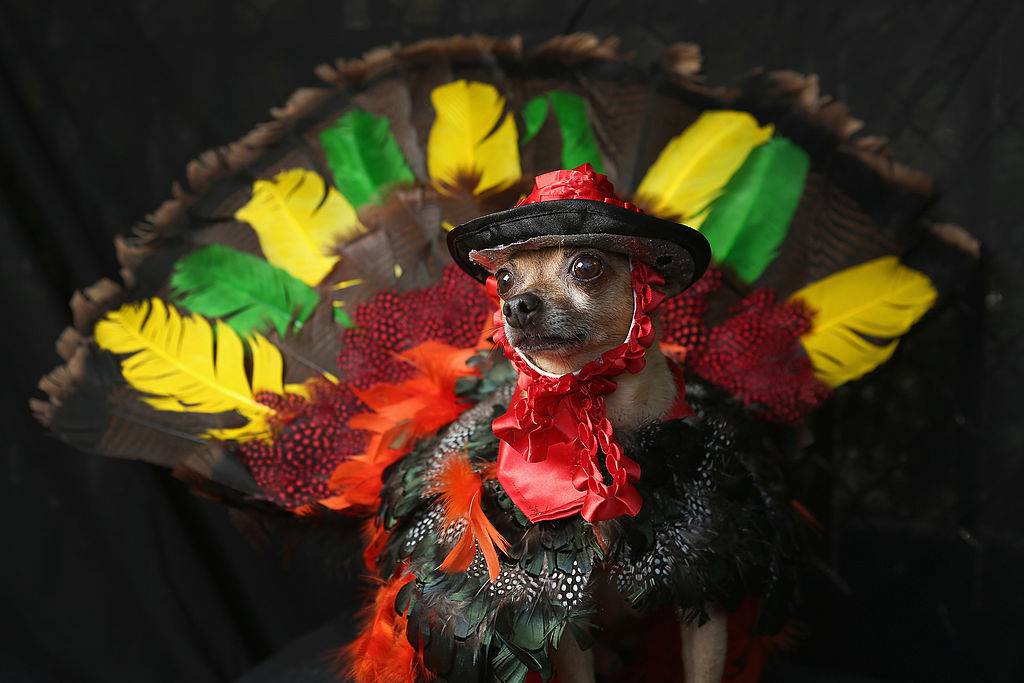 GettyImages-154479901