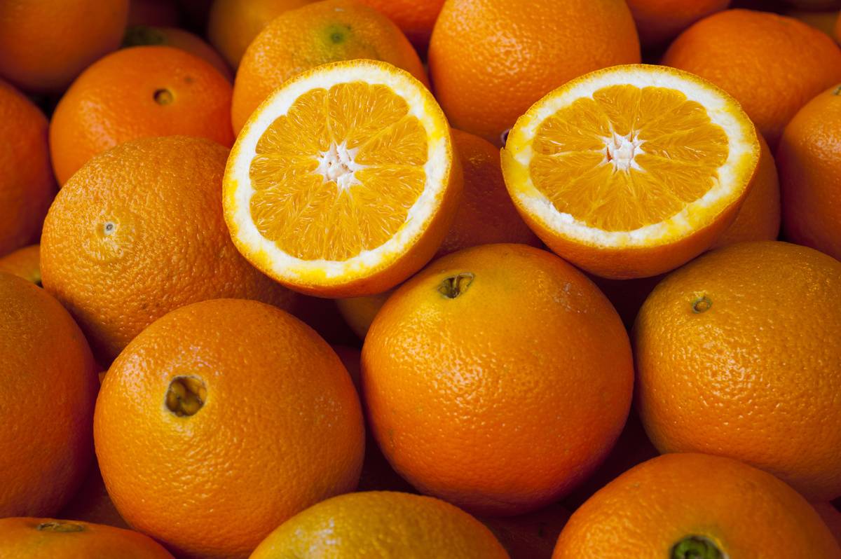 Close-up of oranges