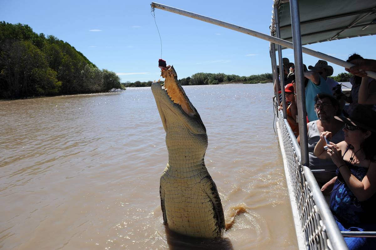 GettyImages-546814944