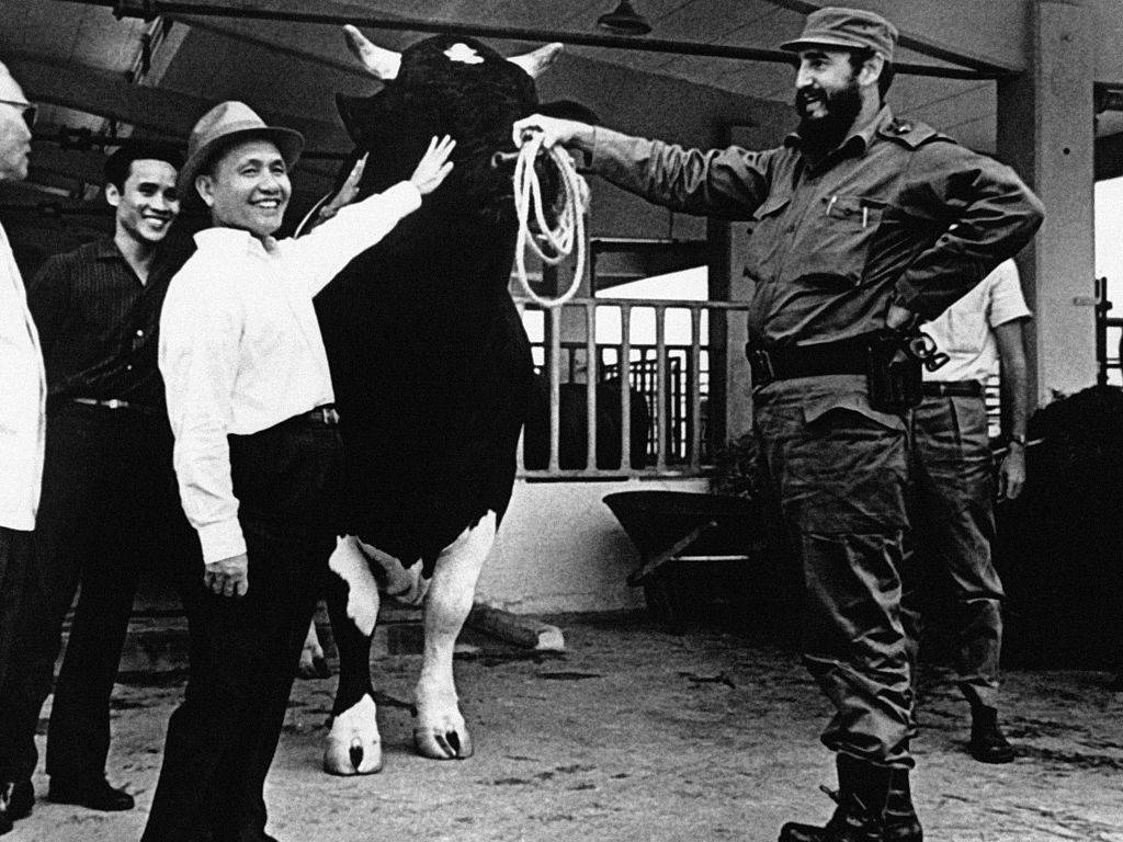 GettyImages-558658781