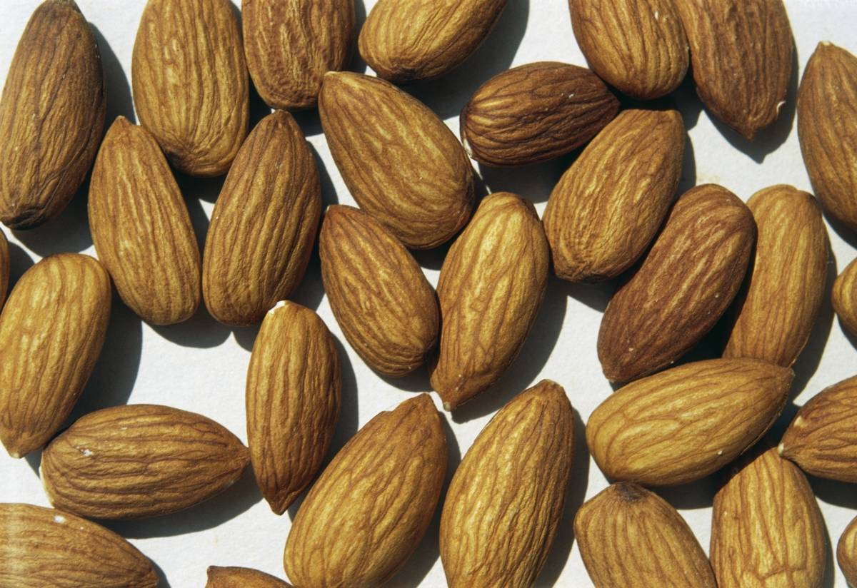 Almonds, edible seeds of almond