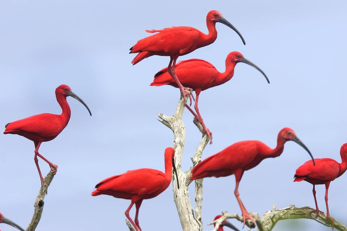 GettyImages-953401846