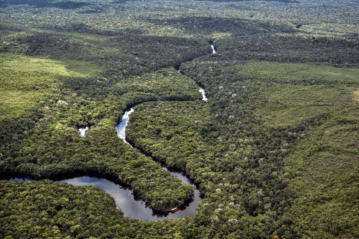 aerial view of stretch of amazon basin
