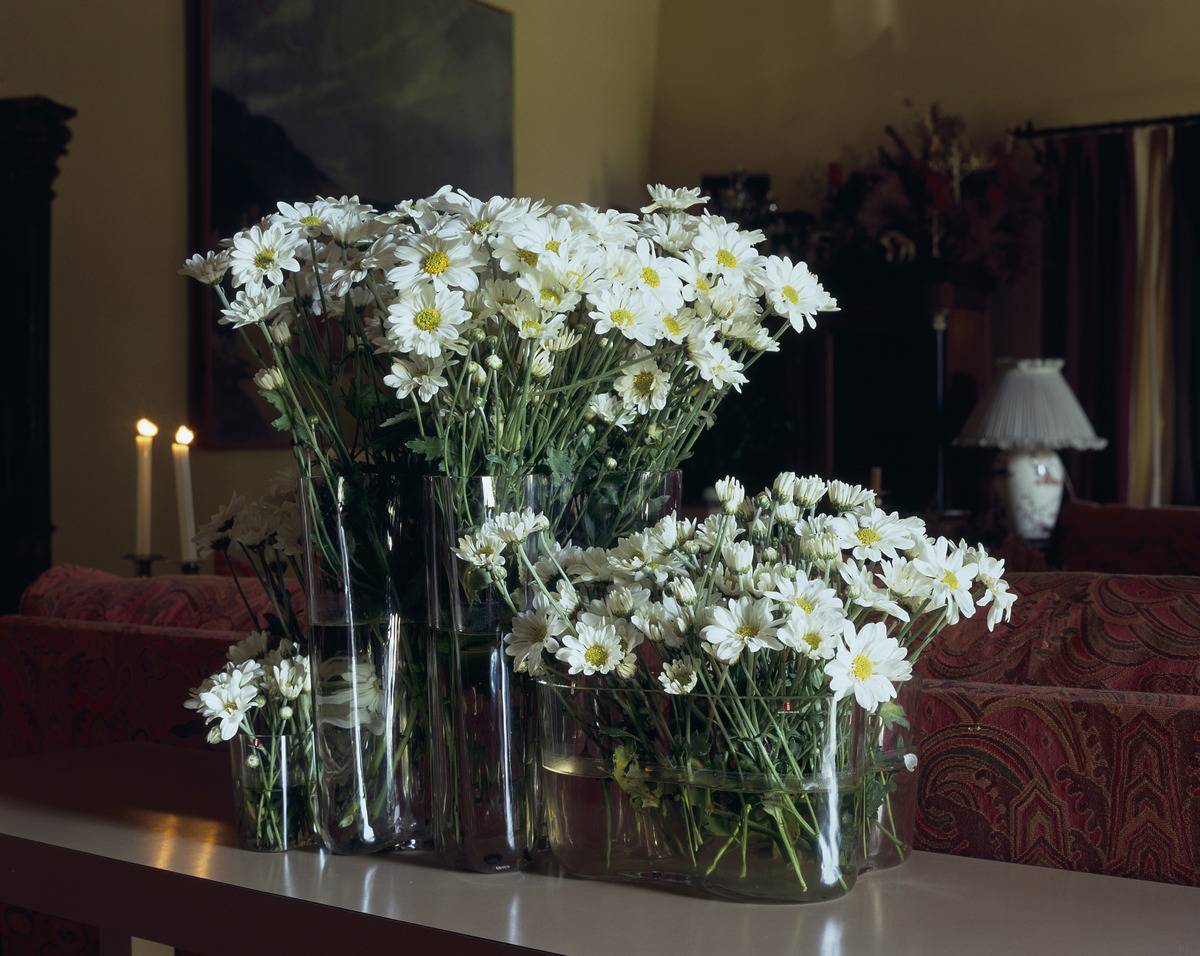 Keep Cut Flowers Fresh Longer
