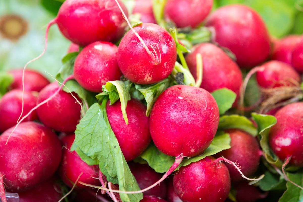 Radishes seen displayed