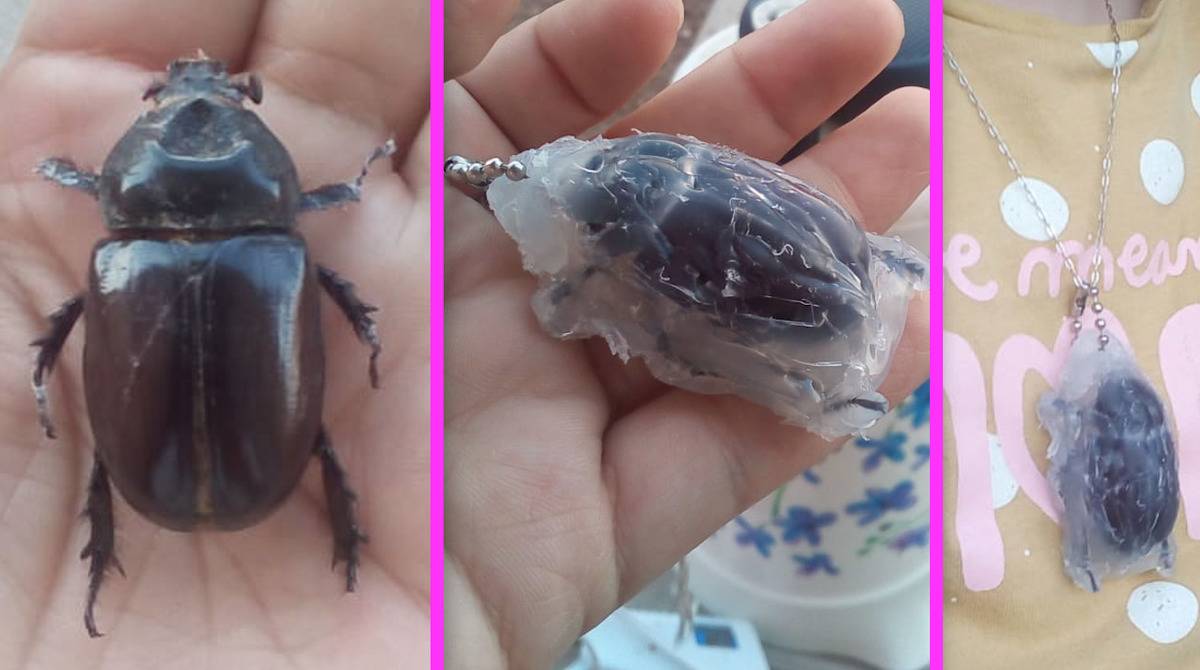 beetle sealed in glue and hung as pendant on necklace