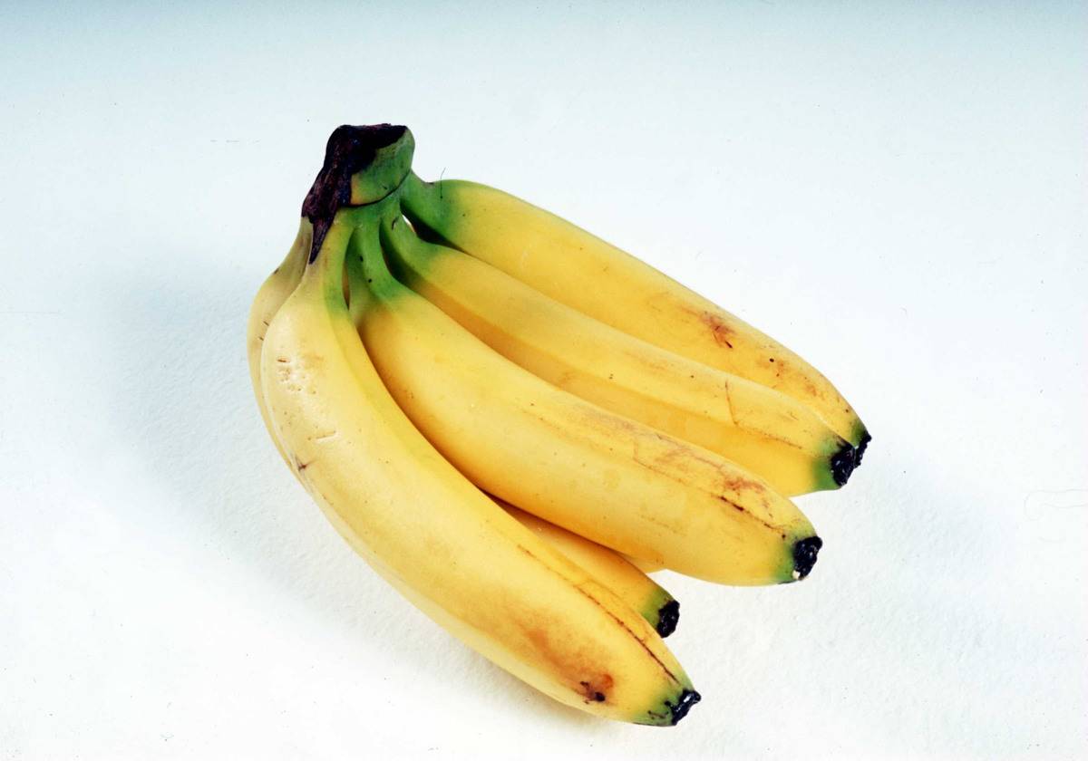 A bunch of ripe yellow Banana