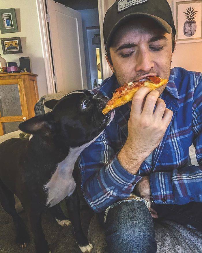 dog boy pizza
