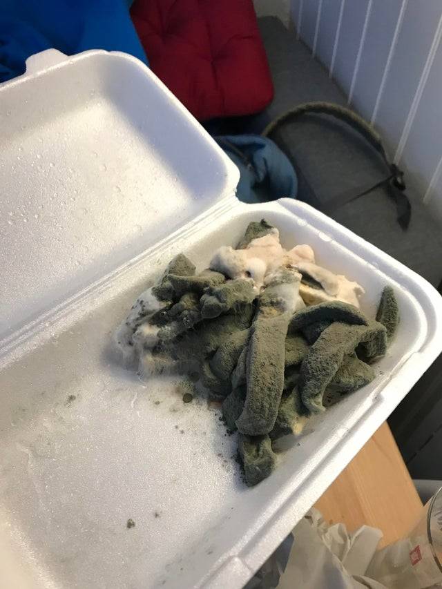 french fries that are very moldy