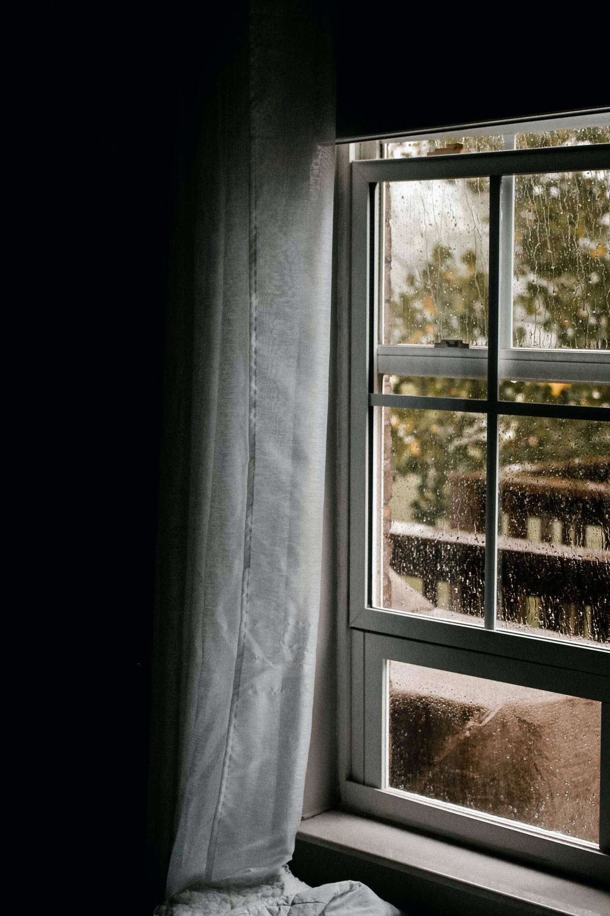 window