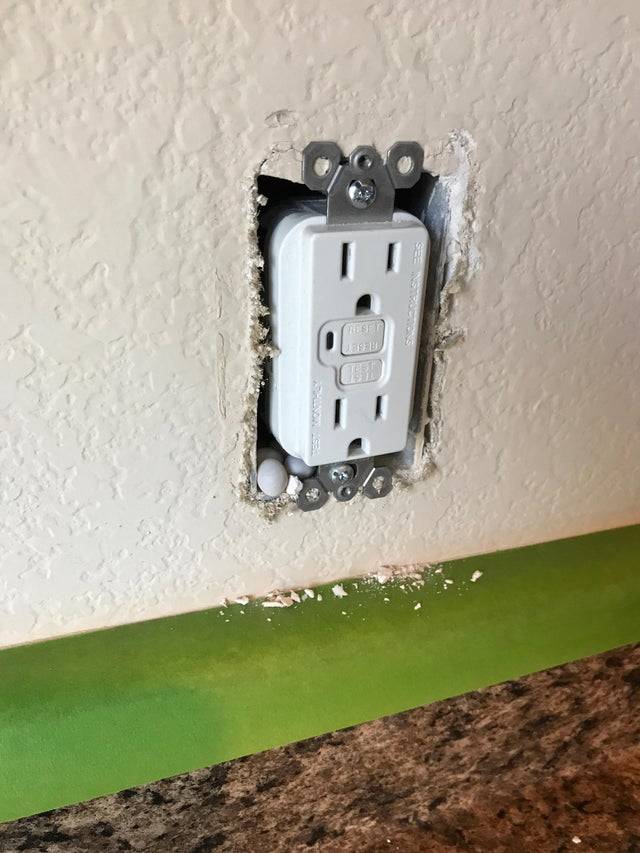 lizard eggs in the wall