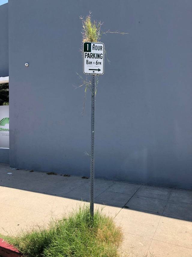 grass sign