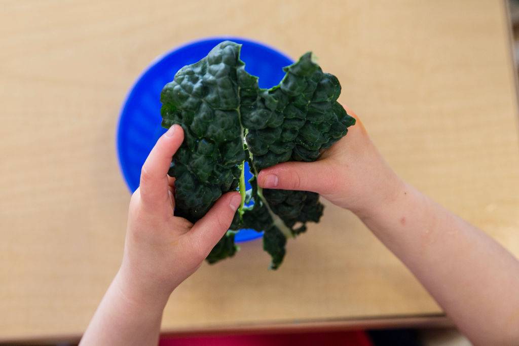 child holding a piece of kale over a blue bowl