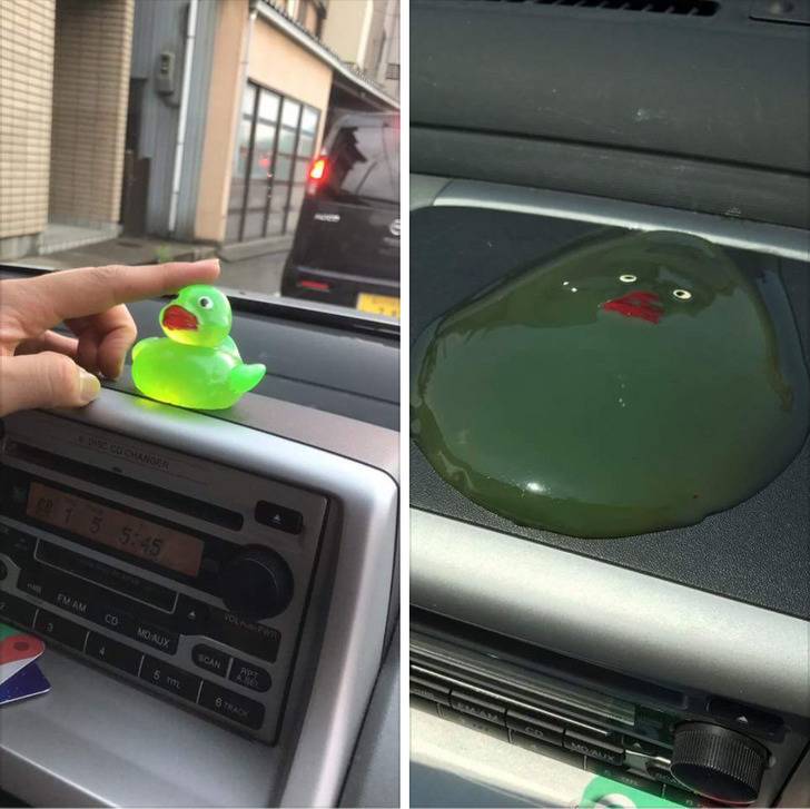 melted dashboard duck