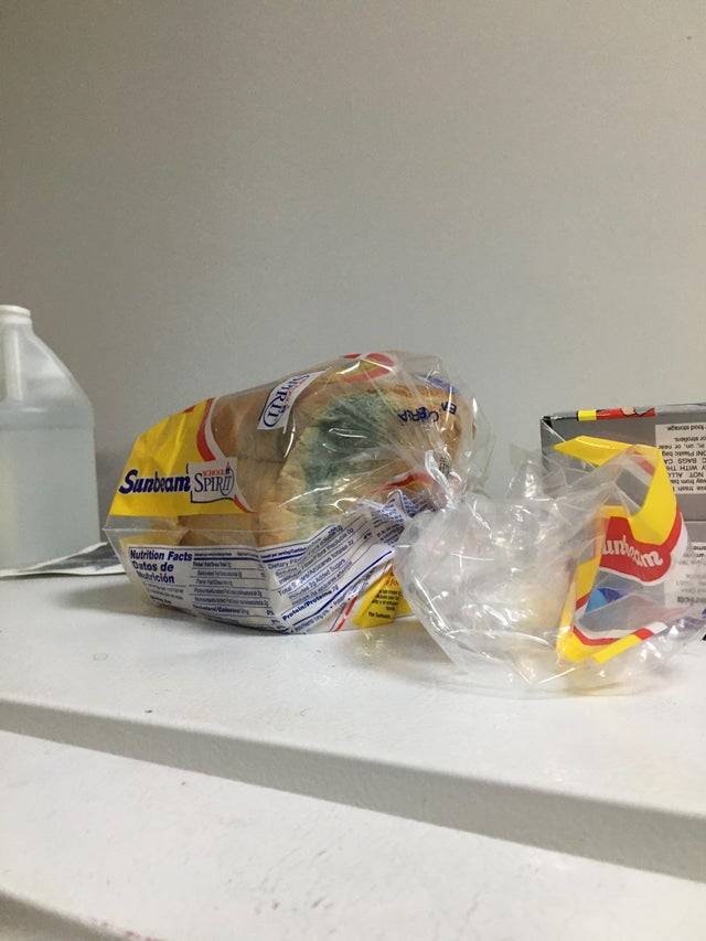 bread