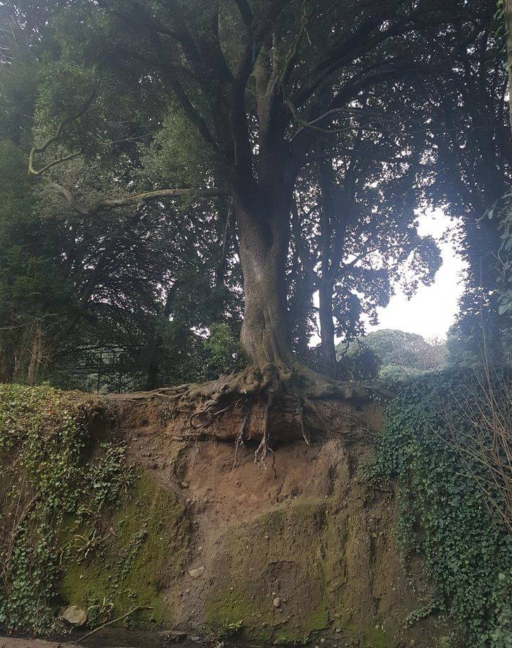 polkadotnurse : imgur