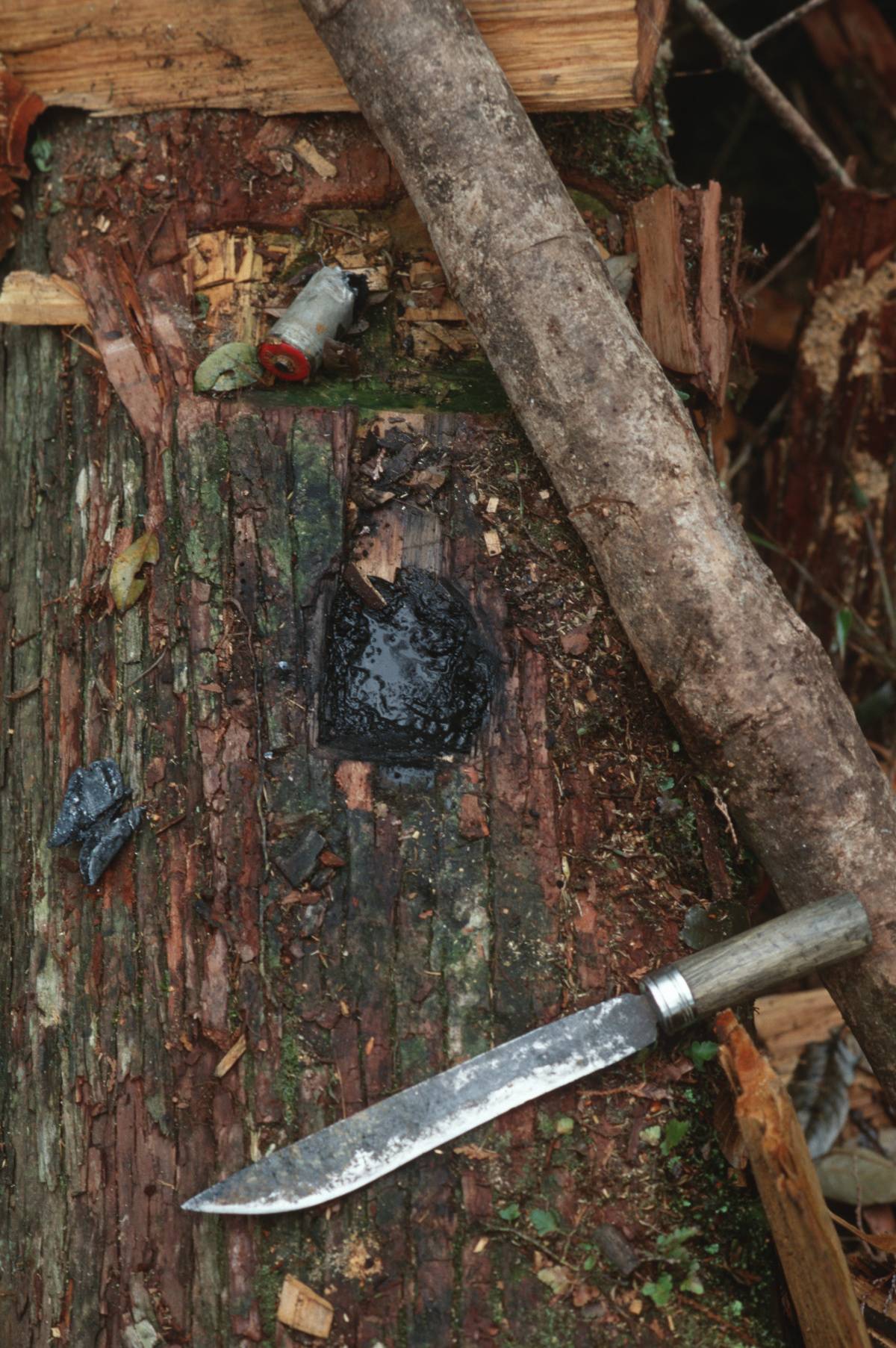 A rusty knife lies on the ground.