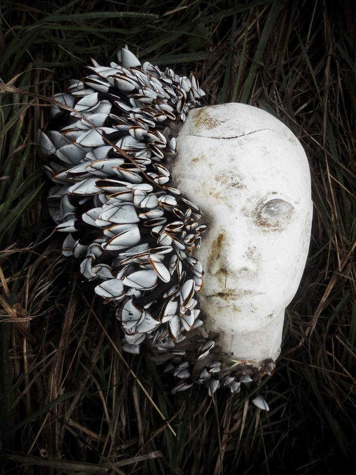 shells on a mannequin head