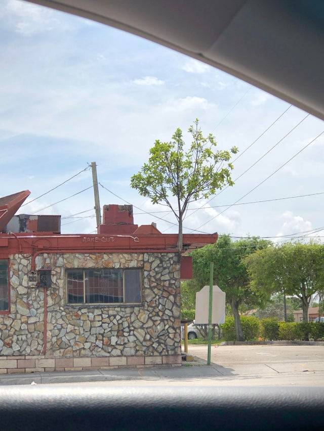 tree is growing out from restaurant