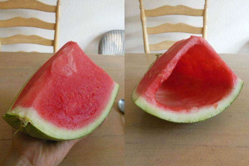 watermelon hollowed out