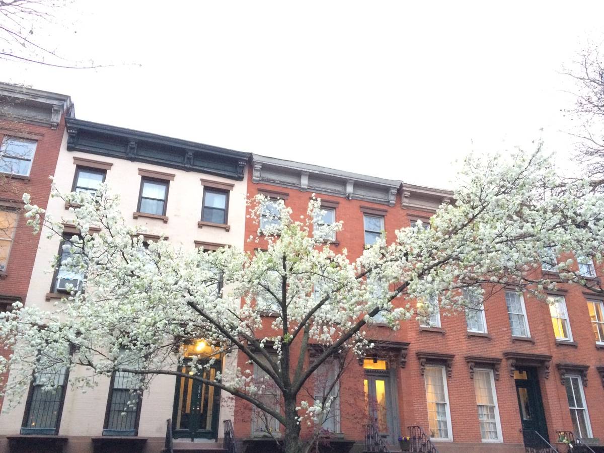 Arbor Day